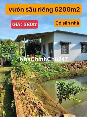 🔥CHÚ 9 GỬI BÁN GẤP vườn sầu riêng 6200m2 sẵn nhà