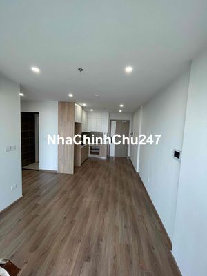 Chính chủ cần bán căn 2PN 2WC 55m2 giá 4,2 tỷ ở Vinhomes Smart City