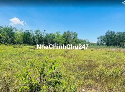 Chính chủ cần bán gấp đất Bình Phước giá rẻ