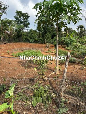 Đất hẻm Cấp 1 Phan Huy Chú – Hòa Xuân 6 x 22 giá 495 triệu