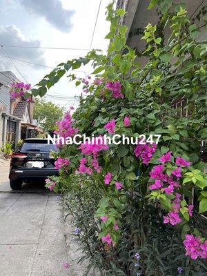 Bán nhà cấp 4 sổ hồng riêng chính chủ