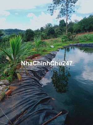 [CHỦ BÁN] 2 TỶ-11000m² đất mặt tiền trồng macca,tiêu Tuy Đức, Đắk Nông