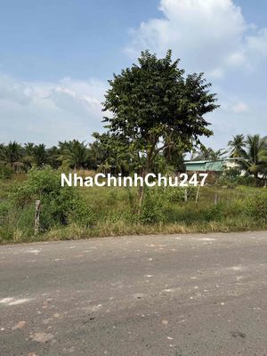 Đất chính chủ vuông đẹp lộ nhựa an bình châu thành 8x28