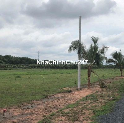 chủ ngợp cần ra gấp sào đất, mặt tiền nhựa