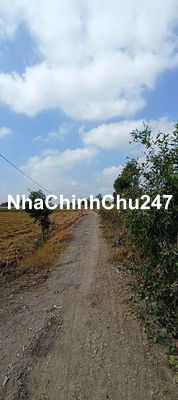 bán đất chính chủ, giá thương lượng, liên hệ để được xem đất,.