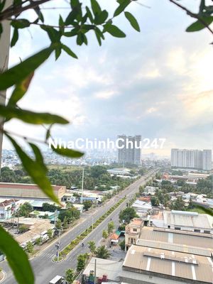 Chính chủ cần bán căn hộ chung cư The Pegasuite 2