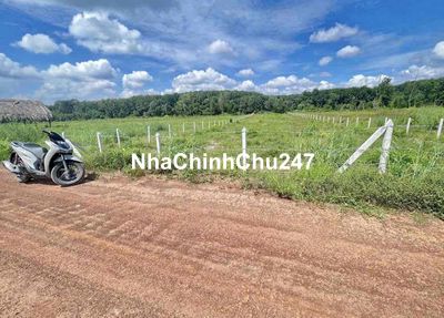 chủ ngộp bán gấp 1 SÀO ngay TRUNG TÂM XÃ