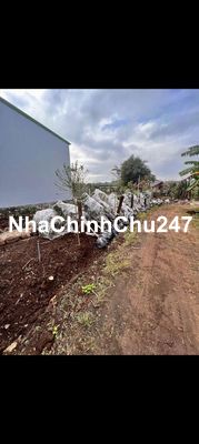 cần bán đất bìa chính chủ