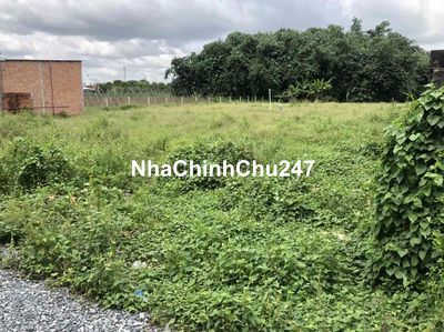 Đất chính chủ Tân Thạnh Đông cũ