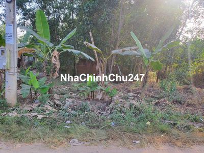 Hàng hiếm tại Đường Tôn Đức Thắng, Vĩnh An, 3,1 tỷ, 722m2 chính chủ