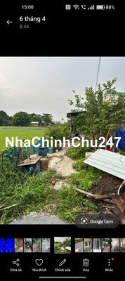 chính chủ cần bán đất trồng cây , 300m vuông, giá 1.5 ty, hh 50tr