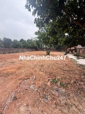 CHÍNH CHỦ bán đất tiềm năng - Thắng Hữu, Kim Anh, HNi - Cơ hội đầu tư 