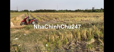 Ngộp bán rẻ lô đất hẻm chính chủ 2.940m² thuộc Tân Nhựt, Bình Chánh