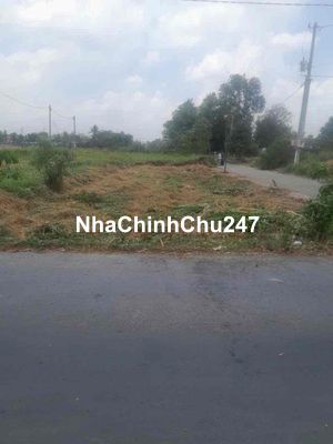 Chính chủ cần bán lô góc 187m2 hai mặt tiền đường nhựa 8m.
