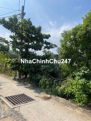 Nhà đất chính chủ