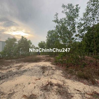 🔥 CHÍNH CHỦ BÁN GẤP 1000M² ĐẤT TAM THANH - TAM KỲ 🔥