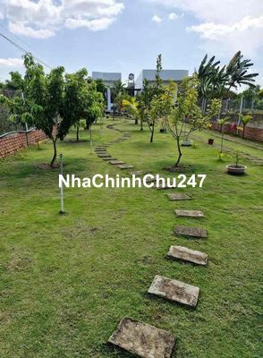 Chủ đi nước ngoài ưu tiên bán gấp đất