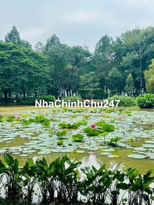 Chính chủ Bán căn hộ Celadon  – E303 – 3PN, full NT, Ban công