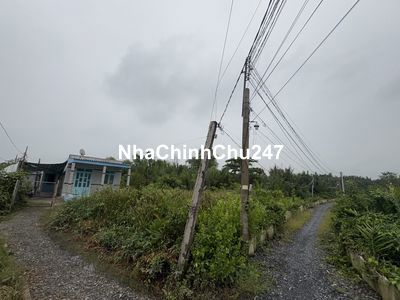Chính chủ bán 3110 m2 đất Phước Đông Cần Đước Long An cũ