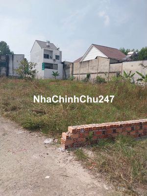 bán đất chính chủ