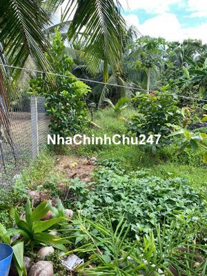 Chính chủ bán đất
