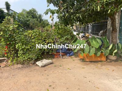 🔥 CHÍNH CHỦ BÁN ĐẤT TÂN ĐỊNH 16 (283.1m² – NGANG 6M – THỔ CƯ CAO)