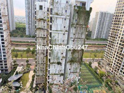 1PN+ 54m² ( tim tường) – Lumiere B– GIÁ RẺ HƠN CHỮ RẺ, EM BAO GIÁ 💥
