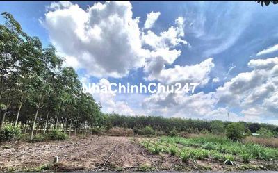 CHỦ CẦN TIỀN BÁN MẢNH ĐẤT NGHĨ DƯỠNG 1000m2