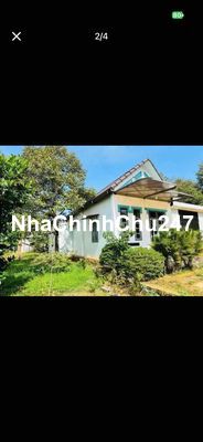 Chú 7 Bàu Bàng _ Gấp Miếng Nhà Vườn Diện Tích 1137