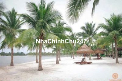 CHÍNH CHỦ BÁN CH VINHOMES GRAND PARK 2PN SIÊU ĐẸP 