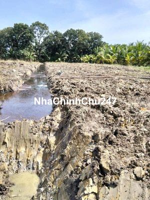 Đất Chính Chủ Cần Bán