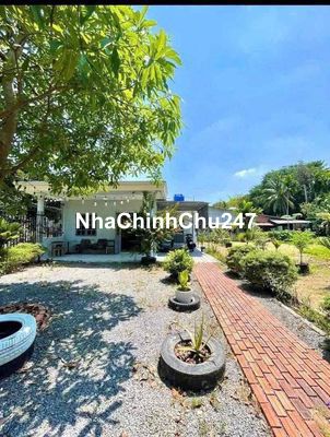 chú 7 kẹt tiền cần bán gấp bán lổ