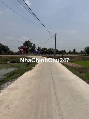 [CHÍNH CHỦ] CẦN RA CẶP ĐẤT LÚA ĐẸP - TRẢNG BÀNG, TÂY NINH