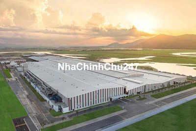 Chú Hai muốn bán gấp miếng đất để lo tiền học cho con gái