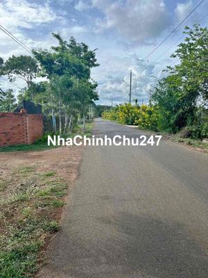Chủ lớn tuổi về ở với con, nên bán nhanh vườn cây ăn trái giá 140tr