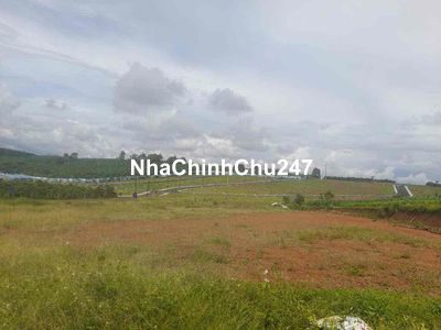 Chủ đất ngộp tiền cần bán gấp miếng đất này