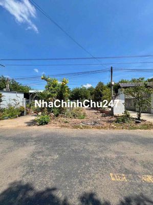 chính chủ cần bán gấp 441m2 mặt tiền dh509