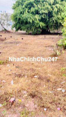 Đất thổ cư 100% Long An chính chủ có sổ cần bán