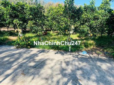 Chú bảy cần bán lô đất vườn mít thái Xả Phước thành HCM giá 490tr/250m