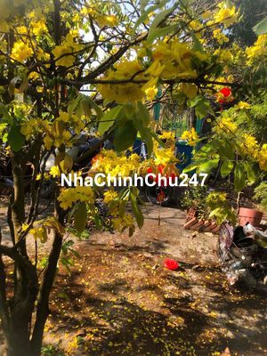 Nhà chính chủ cần bán