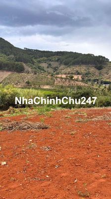 Chính chủ bán đất Nam Ban