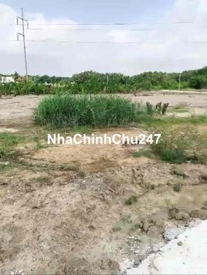 Chính chủ cần bán đất Long An