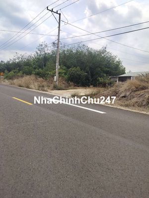 Chính chủ bán gấp 1,200m đất ở Đồng Phú Bình Phước