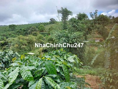chính chủ cần bán