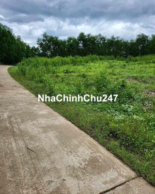 🔥 CHÍNH CHỦ CẦN SANG  LÔ ĐẤT VƯỜN ĐẸP 2.053m² - KHÁNH VĨNH, KHÁNH H