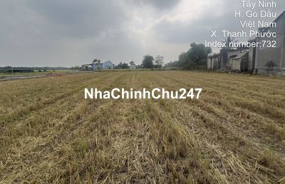 Chính chủ cần bán đất nông nghiệp Cây xoài, Gò Dầu, Tây Ninh