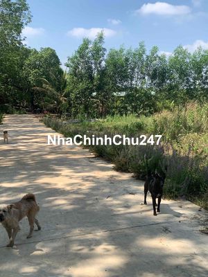 TÔI CHÍNH CHỦ CẦN BÁN LÔ ĐẤT 2506,7m2. Giá 500TRIỆU.
