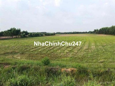 Chính chủ cần bán gấp 54.751m2 đất tại Đức Huệ Long An giá chỉ 32tỷ