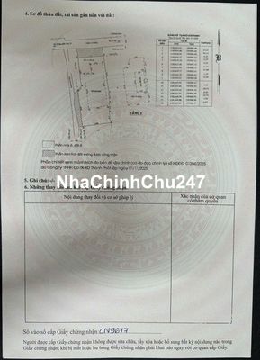 Chính chủ bán Biệt thự sân vườn ngay thị trấn Tân Túc