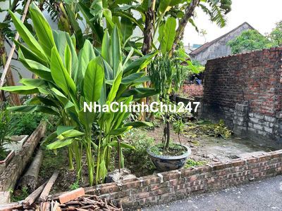 [CHÍNH CHỦ] Bán 47m² full thổ cư Lộc Hà, Đông Anh. Gần cầu Tứ Liên